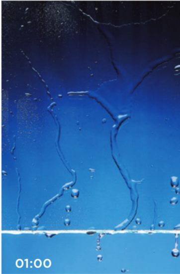 SSG Timeless Glas - Nahaufnahme