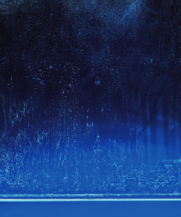 SGG Timeless Nahaufnahme