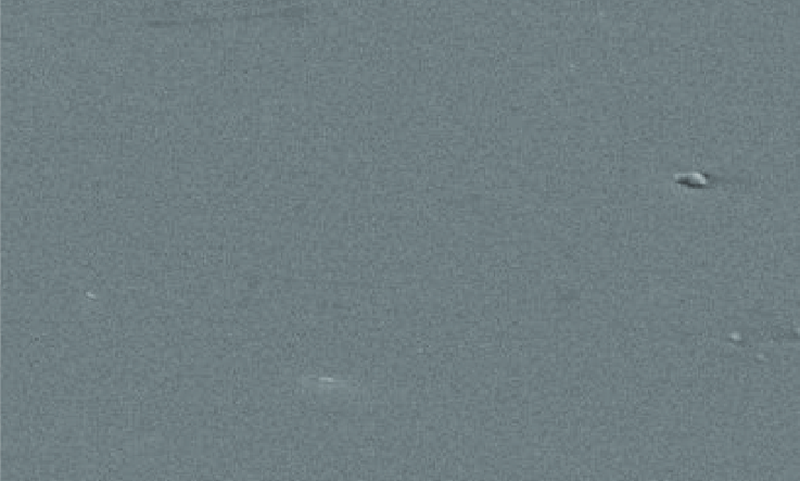 Nahaufnahme des Duschkabinenglases SGG TImeless